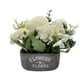 thumbnail image 1 of Planta Artificial Macetero De Cemento Flowers And Plants blanco, 1 of 8