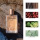 thumbnail image 3 of Perfume Tru Fragrance Beauty Wrangler 1947, agua de colonia, 74 ml, 3 of 9