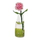 thumbnail image 3 of Flor En Miniatura Con Jarrón De Cristal Para Comedor, Sala De Estar, Escala 1/6, 1/12, Mezcla De Rosa Rosa, 3 of 5
