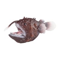 Bothyi - Figuras De Juguete De Pez Pescador, Criaturas De Aguas Profundas Para Regalo De Cumpleaños, Regalo De Vacaciones