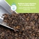 thumbnail image 4 of Relleno de granos de trigo sarraceno, productos orgánicos de 2,27 kg, cultivados en EE. UU., 4 of 9