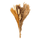 thumbnail image 1 of Ramo flores secas pampas y cola de conejo, 1 of 3
