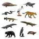 thumbnail image 5 of Juego de juguetes educativos Safari Ltd. Everglades TOOB 11 Figures, 5 of 5