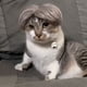 thumbnail image 1 of Pelucas Para Disfraces De Perros, Pelucas Para Gatos, Sombreros Para Perros, Pelucas Para Cosplay De Mascotas De Halloween Para Cachorros, 1 of 7