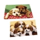 thumbnail image 4 of Juego De 2 Juegos De Ganchos Para Perros Con Herramienta Básica E Instrucciones Para Hacer Alfombras, 4 of 5