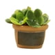 thumbnail image 4 of 1/12 Casa De Mu?ecas Resina Mini Bonsai Suministros De Paisaje Para Decoración De Balcón Estilo D, 4 of 5
