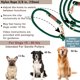 thumbnail image 4 of Correa Sticks N' Bones co 2,5 m‑2,3 m 10 mm Multi‑perro, 4 of 9