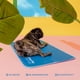 thumbnail image 4 of Alfombrilla para perros Cooling Mat The Green Pet Shop XL para perros de más de 36 kg, 4 of 6
