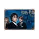 thumbnail image 1 of Cartel Metálico Harry Potter Desmarcar 30x40 cm, 1 of 6