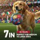 thumbnail image 3 of Balón de fútbol para perros QDAN con correas, balón de fútbol de la Copa Mundial de 7 pulgadas para perros, juguete acuático, juguetes de pelota para perros medianos y grandes, 3 of 8