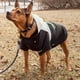 thumbnail image 5 of Abrigo impermeable para perro, estilo chaqueta de esquí con capucha, negro, 5 of 6