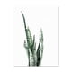 thumbnail image 3 of ART ZONE - Póster con impresión artística en lienzo de hojas de plantas tropicales, cuadros de pared de plantas verdes nórdicas, pintura grande para habitación infantil, sin marco, 3 of 5