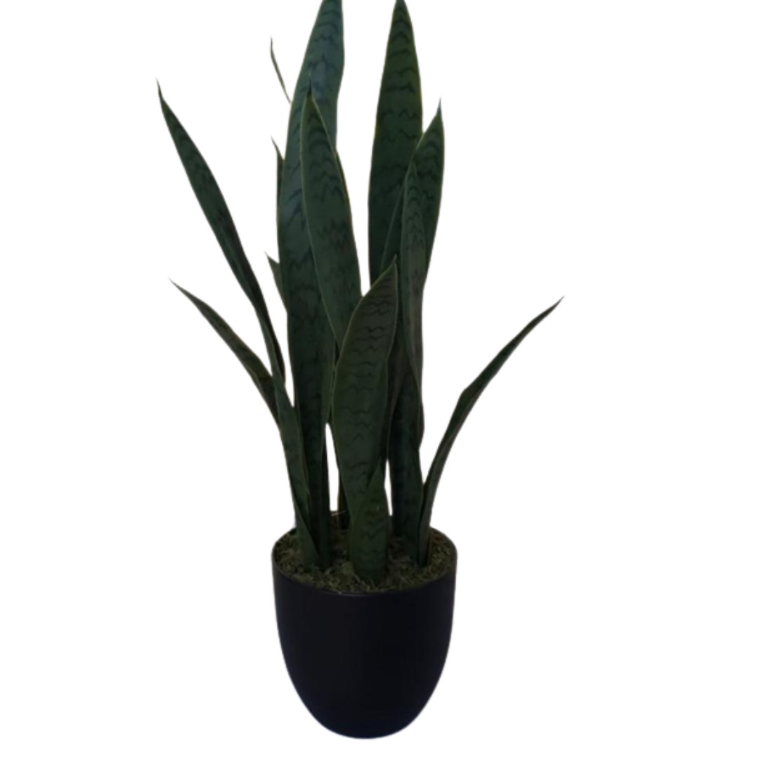 Corel - Planta Decorativa Sanseviera Verde 60 Cm