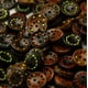 thumbnail image 3 of Xiao Hua 200 botones de cáscara de coco marrón de 2,5 cm (0,98 pulgadas), botones naturales y ecológicos con patrones de textura únicos, ideales para decorar accesorios de ropa., 3 of 3
