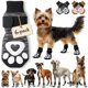 thumbnail image 1 of Calcetines antideslizantes para perros Bixie – Pack de 6 (XS), 1 of 6