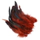 thumbnail image 4 of 50 Uds. De Plumas Para Manualidades, Decoraciones Para Bodas, Fabricación De Joyas, Café, 4 of 5
