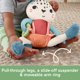 thumbnail image 4 of Juguete sensorial Fisher-Price Planet Friends Snow Leopard de 3 meses o más, 4 of 6