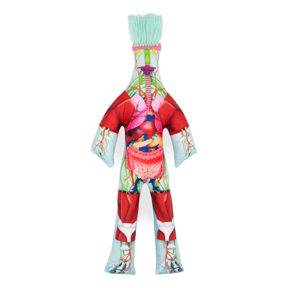 Muñeca Dammit para aliviar el estrés, edición limitada, Dammit Anatomy
