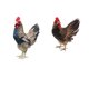 thumbnail image 2 of 2 Uds Estatua De Pollo Realista De Gallina Realista Juguetes De Figuritas De Animales Realistas, 2 of 3