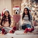 thumbnail image 5 of Collar navideño con lazo para perro, collar navideño con lazo para perros pequeños, medianos y grandes., 5 of 5