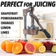 thumbnail image 2 of Exprimidor de zumo de naranja Zulay Kitchen Zulay Kitchen, hierro fundido, 2 of 8