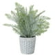 thumbnail image 1 of Lavanda Macetero 32 Cm, 1 of 3