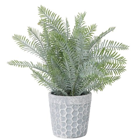 Green Element - Lavanda Macetero 32 Cm