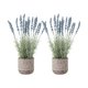 thumbnail image 1 of Set 2 Plantas Artificiales Flores Lavanda Decoracion Hogar azul, 1 of 8