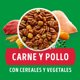thumbnail image 3 of Alimento Seco Perro Adulto Raza Mediana/Grande Carne y Pollo Bolsa, 3 of 6