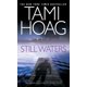 thumbnail image 1 of Libro Bantam – Still Waters (Novela), 1 of 1