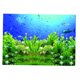 thumbnail image 2 of Fondo De Imagen De Pez De Planta Adhesivo único 3D De Alta Definición Para Acuario XS, 2 of 5
