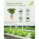 thumbnail image 2 of Kit hidropónico URUQ compatible con AeroGarden, 2 of 3