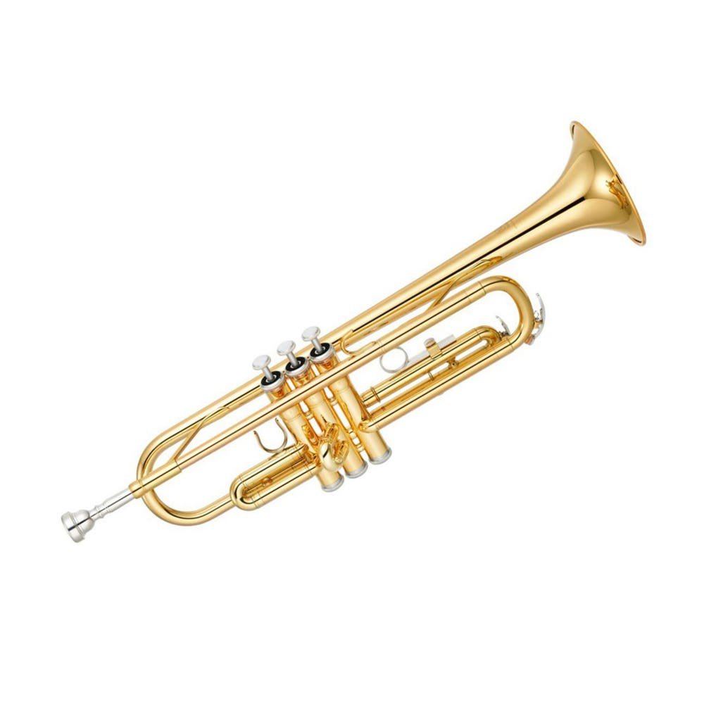 Golden Cup - Trompeta Dorada