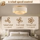 thumbnail image 4 of Ventilador De Techo De 20 Estilo Boho Tipo Fandelier Con Luz Y Control Remoto Dorado, 4 of 9