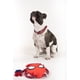 thumbnail image 3 of Juguete Para Perros Spiderman, 3 of 3