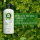 thumbnail image 4 of Acondicionador Herbal Essences Detox Té Verde & Menta, 400 ml, 4 of 5
