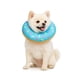 thumbnail image 1 of Collar Dona Para Mascotas Anti-lamido Talla XS celeste 191101XS-Rosado-1, 1 of 8