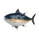 thumbnail image 1 of Modelo De Figuras De Animales De Peces Realistas Modelo De Atún De Simulación Para Niñas Y Niños Amarillo, 1 of 5
