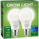 thumbnail image 1 of Ampolleta LED de cultivo Briignite A19 11 W 5000 K E26, 1 of 3