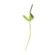 thumbnail image 1 of Varilla Floral De Tallo De Flor Artificial Para Decoración Estilo A, 1 of 3