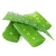thumbnail image 1 of Aloe Vera Hoja, 1 Un, 1 of 2