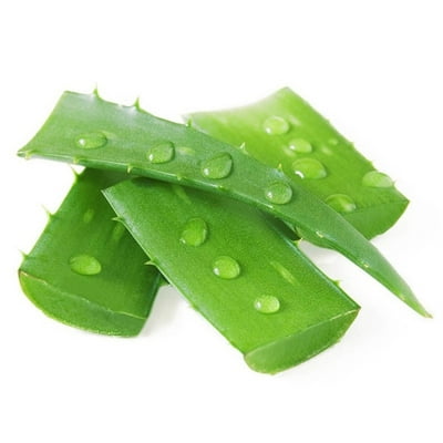 Aloe Vera Hoja 1 Un