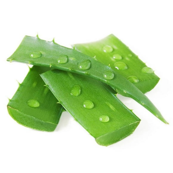 Aloe Vera Hoja, 1 Un