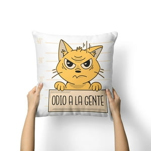 Creango - Cojin 40X40Cm Gato Que Odia A La Gente