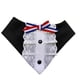 thumbnail image 1 of Traje Bandana Huasa Elegante para Perritas L, 1 of 3