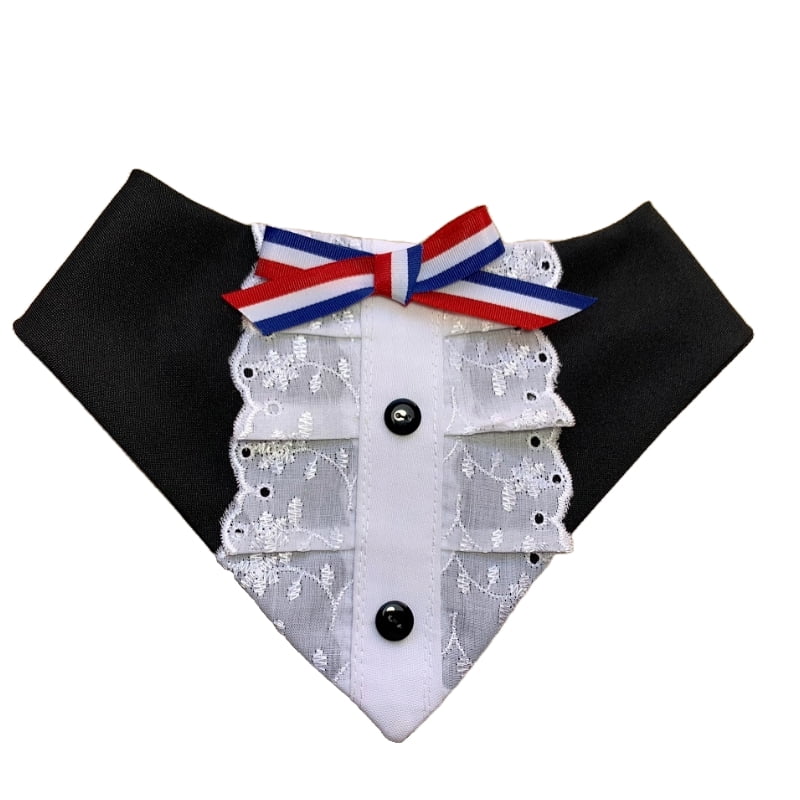 Traje Bandana Huasa Elegante para Perritas y Gatas S