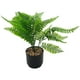 thumbnail image 1 of Planta Helecho Artificial 10*30cm, 1 of 3