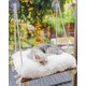 thumbnail image 1 of Cama Tipo Hamaca Con Asiento De Madera Maciza Y Percha Para Gatos, 1 of 9