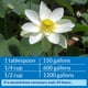 thumbnail image 5 of Clarificador de agua para estanques API POND ACCU-CLEAR 9600L, 5 of 6