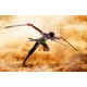thumbnail image 5 of Figura de acción TAMASHII NATIONS One Piece Roronoa Zoro, 5 of 9